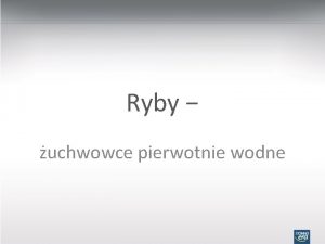 Ryby uchwowce pierwotnie wodne RYBY SYSTEMATYKA CHRZSTNOSZKIELETOWE KOSTNOSZKIELETOWE