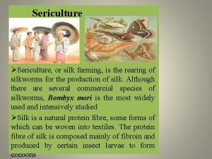 Sericulture Sericulture or silk farming is the rearing