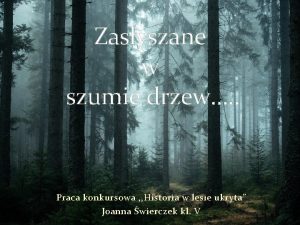 Zasyszane w szumie drzew Praca konkursowa Historia w