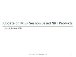 Update on MISR Session Based NRT Products Pamela