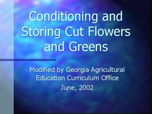 Conditioning and Storing Cut Flowers and Greens Modified