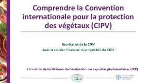 Comprendre la Convention internationale pour la protection des