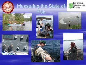 Measuring the State of Fish Measuring the State