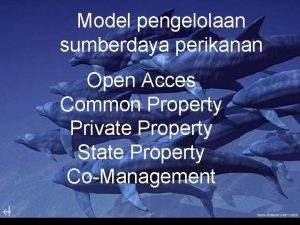 Model pengelolaan sumberdaya perikanan Open Acces Common Property