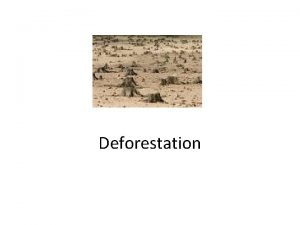 What is deforestation