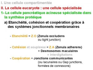 I Une cellule compartimente II La cellule eucaryote