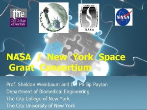 NASA New York Space Grant Consortium Prof Sheldon