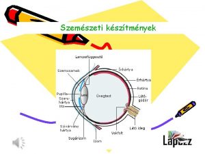 Szemszeti ksztmnyek Szembetegsgek Szemhj s knnyszervek hordeolum rpa