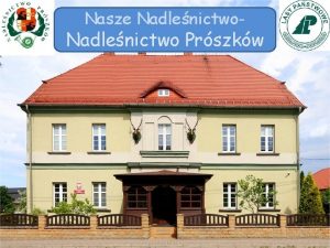 Nasze Nadlenictwo Nadlenictwo Prszkw O Nadlenictwie Lasy Nadlenictwa