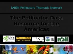 IABIN Pollinators Thematic Network The Pollinator Data Resource