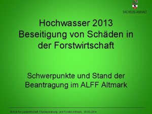 Hochwasser 2013 Beseitigung von Schden in der Forstwirtschaft