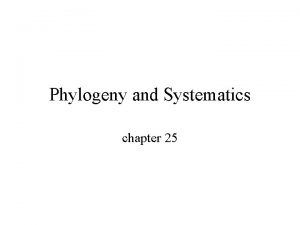 Phylogeny and Systematics chapter 25 WARM UP What