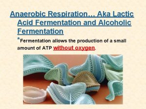 Anaerobic Respiration Aka Lactic Acid Fermentation and Alcoholic