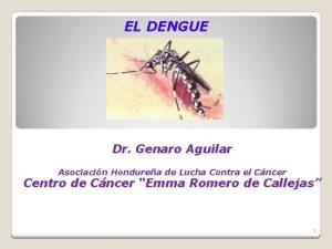 EL DENGUE Dr Genaro Aguilar Asociacin Hondurea de