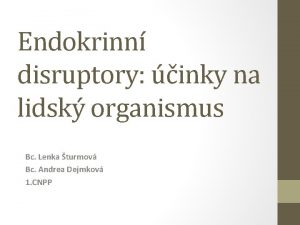Endokrinn disruptory inky na lidsk organismus Bc Lenka