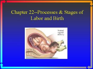 Chapter 22 Processes Stages of Labor and Birth
