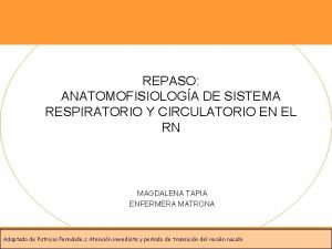 REPASO ANATOMOFISIOLOGA DE SISTEMA RESPIRATORIO Y CIRCULATORIO EN