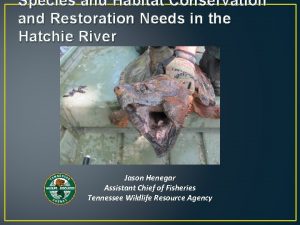 Species and Habitat Conservation and Restoration Needs in