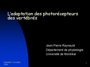 Ladaptation des photorcepteurs des vertbrs JeanPierre Raynauld Dpartement