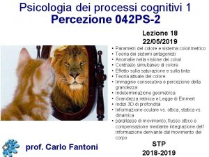 Psicologia dei processi cognitivi 1 Percezione 042 PS2