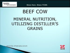 Know how Know now BEEF COW MINERAL NUTRITION