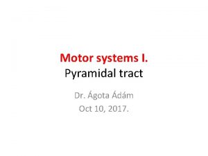 Motor systems I Pyramidal tract Dr gota dm