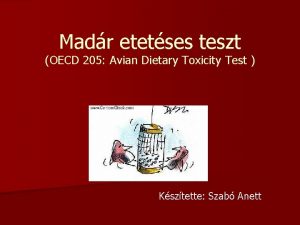 Madr etetses teszt OECD 205 Avian Dietary Toxicity