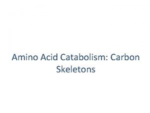 Amino Acid Catabolism Carbon Skeletons AMINO ACID CATABOLISM