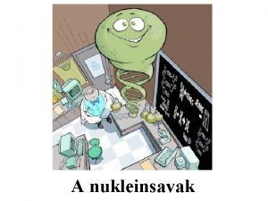 A nukleinsavak eukariota sejt DNSei kromatinllomny formban FELPTS