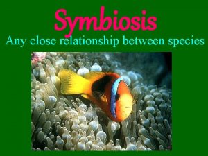 Symbiosis Any close relationship between species Three Types