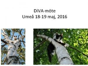 Di VAmte Ume 18 19 maj 2016 Program