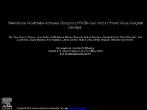 Peroxisome ProliferatorActivated Receptor PPAR Can Inhibit Chronic Renal