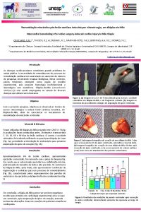 Remodelao miocrdica psleso cardaca induzida por videocirurgia em