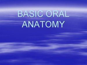 BASIC ORAL ANATOMY Oral Cavity mouth The entire