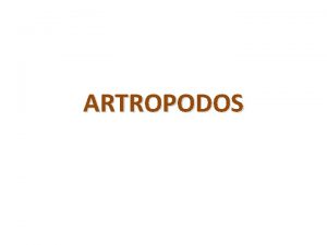 ARTROPODOS CARACTERISTICAS Constituyen ms del 90 del mundo