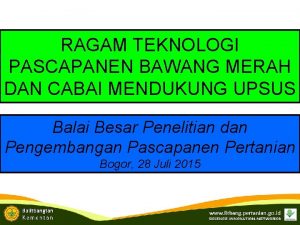 RAGAM TEKNOLOGI PASCAPANEN BAWANG MERAH DAN CABAI MENDUKUNG