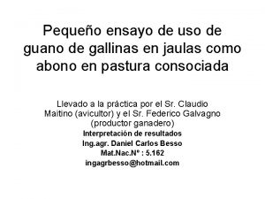 Pequeo ensayo de uso de guano de gallinas