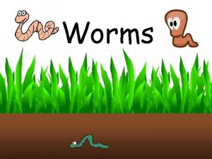 Worms We are going to learn about Earthworms