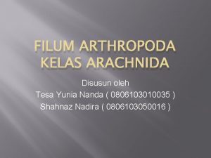 FILUM ARTHROPODA KELAS ARACHNIDA Disusun oleh Tesa Yunia