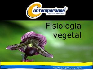 Fisiologia vegetal Fisiologia vegetal Fisiologia das angiospermas Nutrio