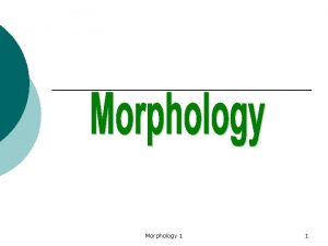 Morphology 1 1 Morphology is the field within