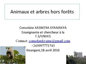 Animaux et arbres hors forts Consolate KASWERA KYAMAKYA