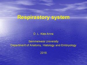 Respirastory system D L Kiss Anna Semmelweis University
