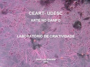 CEART UDESC ARTE NO CAMPO LABORATRIO DE CRIATIVIDADE