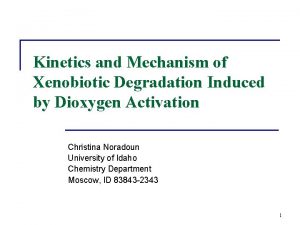 Kinetics and Mechanism of Xenobiotic Degradation Induced by