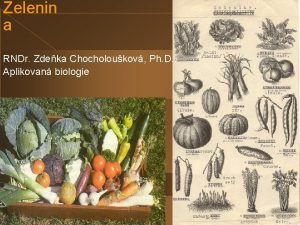 Zelenin a RNDr Zdeka Chocholoukov Ph D Aplikovan