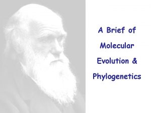 A Brief of Molecular Evolution Phylogenetics Aims of
