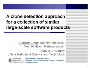 A clone detection approach for a collection of