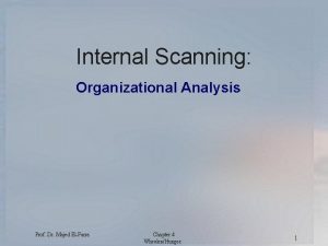 Internal Scanning Organizational Analysis Prof Dr Majed ElFarra