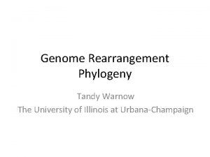 Genome Rearrangement Phylogeny Tandy Warnow The University of